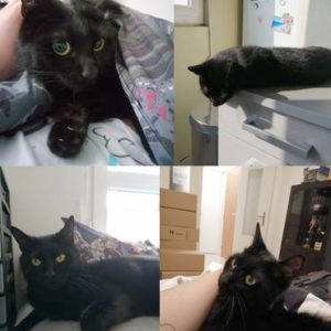 Salem