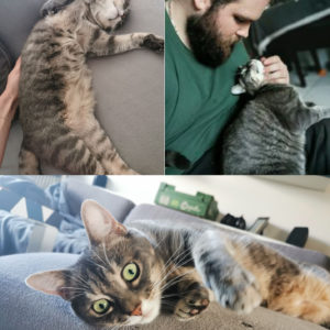 Arya (ex Seychelles)