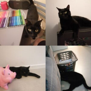 Salem