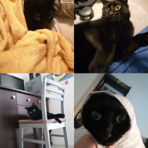Salem