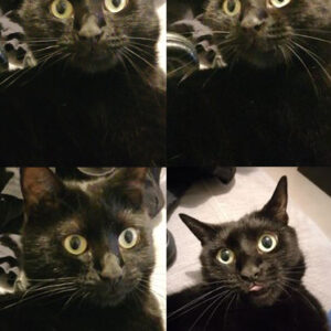 Salem