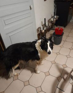 Max (ex Waza)
