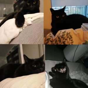Salem
