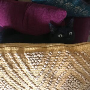 Shadow (ex Salma)