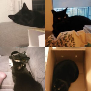 Salem