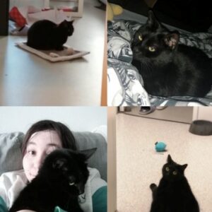 Salem