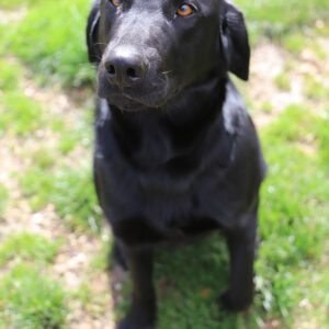 SALLY