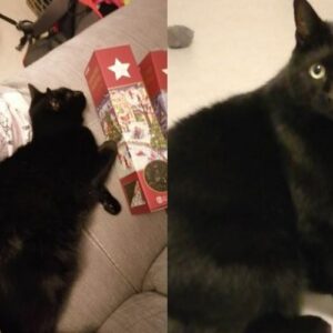 Salem