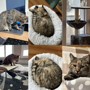 Ornelle (dit poupette)