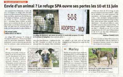 Article Bien Public du 10/06/23