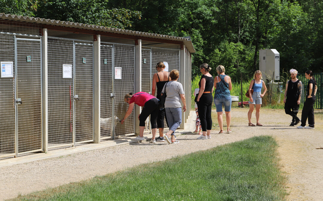 Portes Ouvertes du 10 et 11 juin 2023