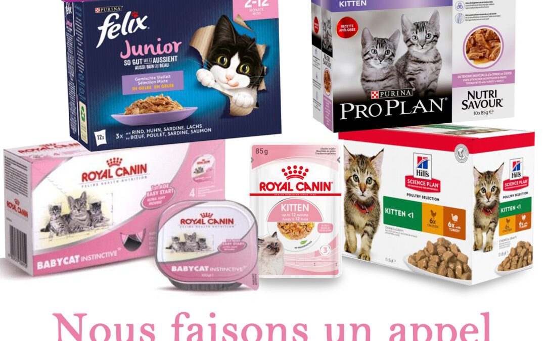 Besoin de pâtée chatons