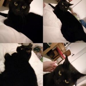 Salem
