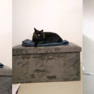 Salem