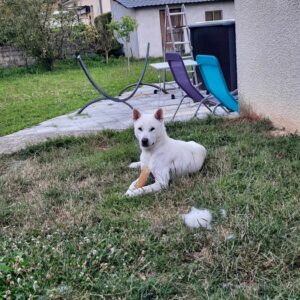 Haku (ex Tavel)