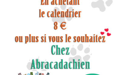 Calendriers en vente chez Abracadachien