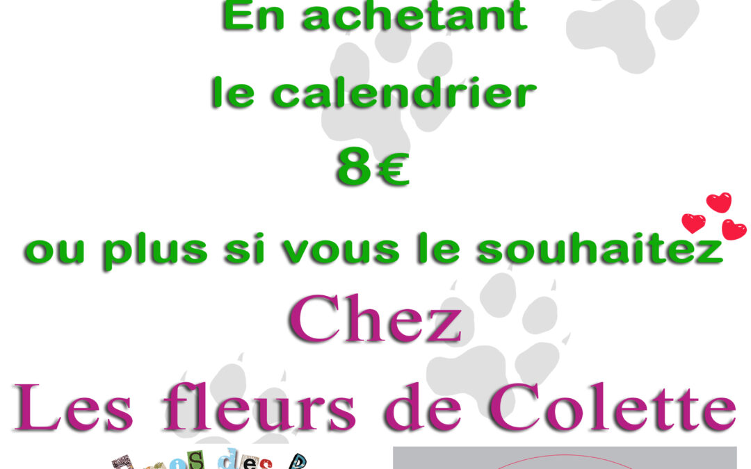 Calendriers en vente chez Fleurs de Colette