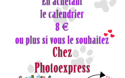 Calendriers en vente chez Photoexpress