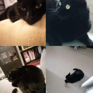 Salem