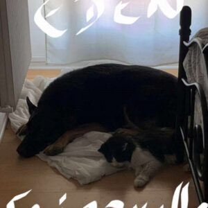 Eden et Fripouille