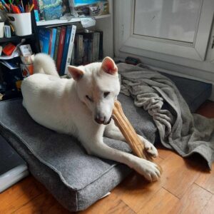 Haku (ex Tavel)