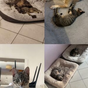 Blue (ex Pôle)