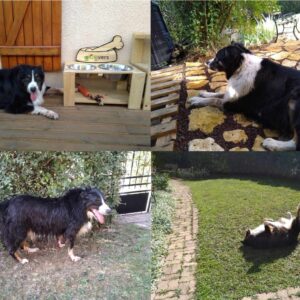 Gulliver
