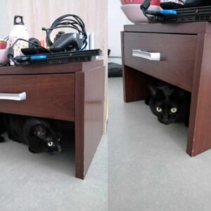 Salem