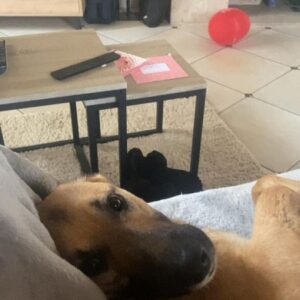 Thor