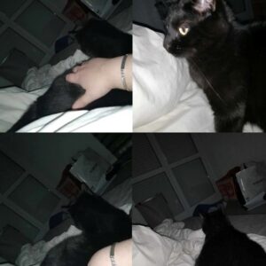 Salem