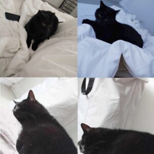 Salem