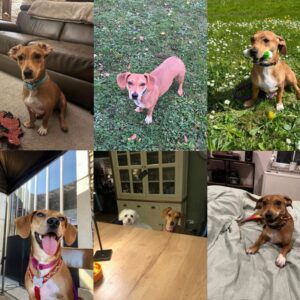 Layla (ex Sissi)