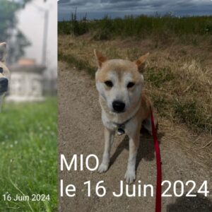 Mia et Mio