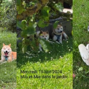 Mia et Mio