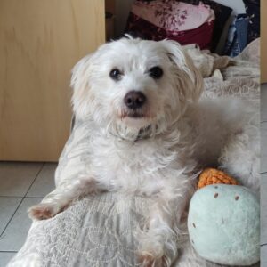Samy