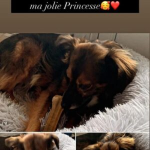 Princesse