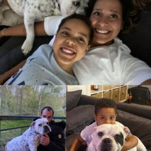 Ohana