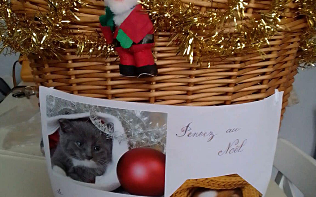 Hotte du Père Noël