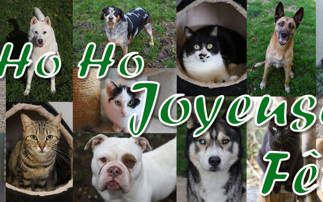 Joyeuses fêtes!