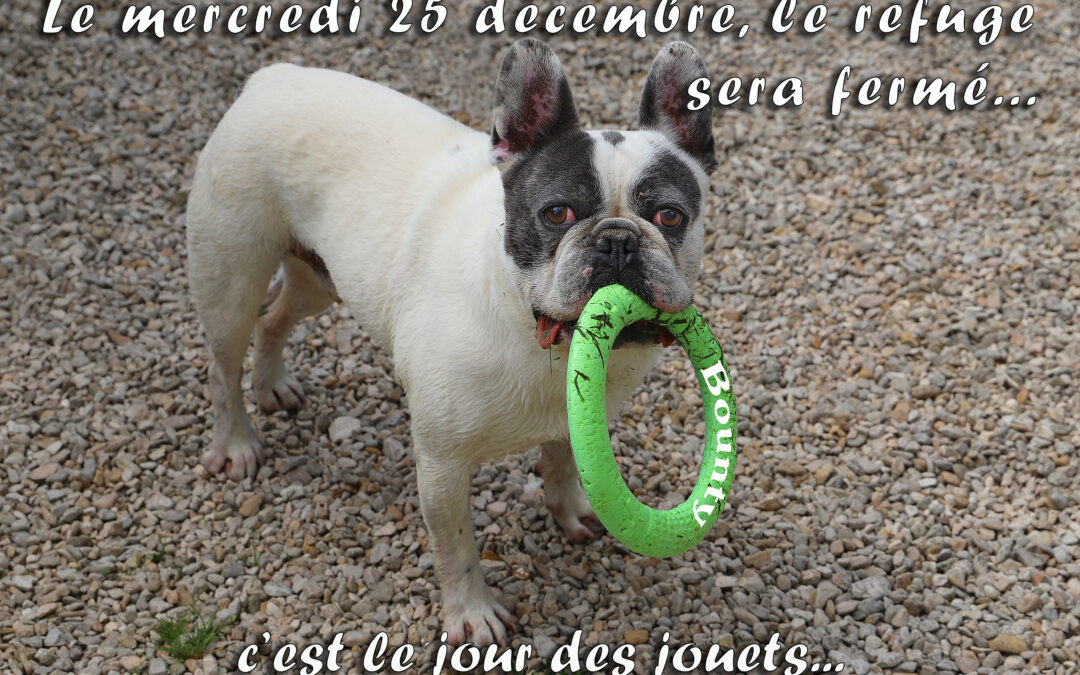 25 décembre
