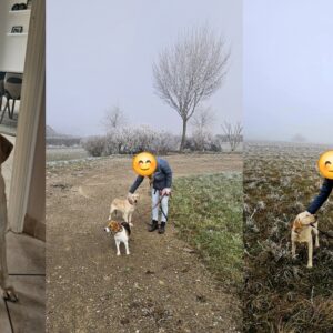 Thalia (ex Trisky) et Tessa