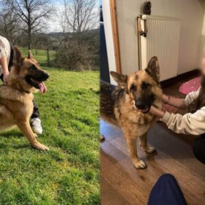 Sanka (ex Renée)