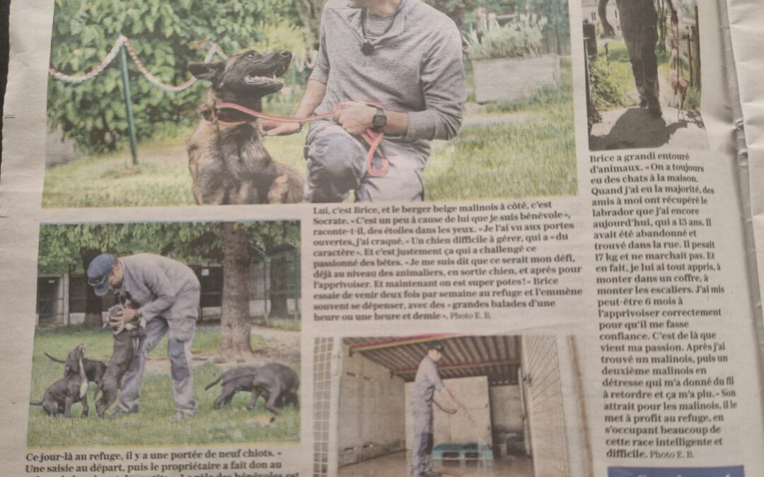 Article Bien Public du 15/06/25