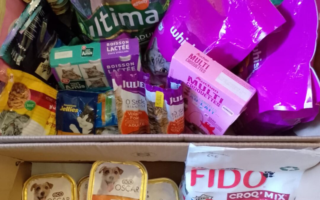 Merci aux 6ème F