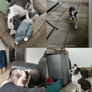 Zarra