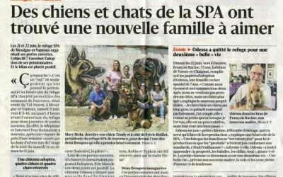 Article Bien Public du 27/06/25