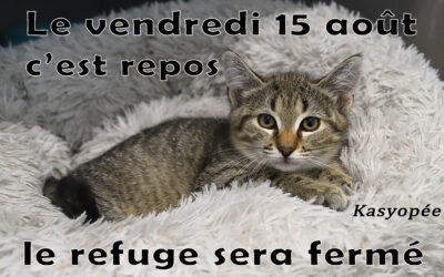 15 août