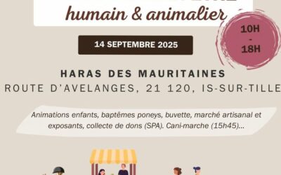 Salon du bien-être le 14 septembre