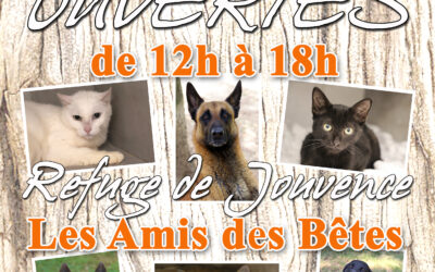 Portes Ouvertes les 4 et 5 octobre 2025