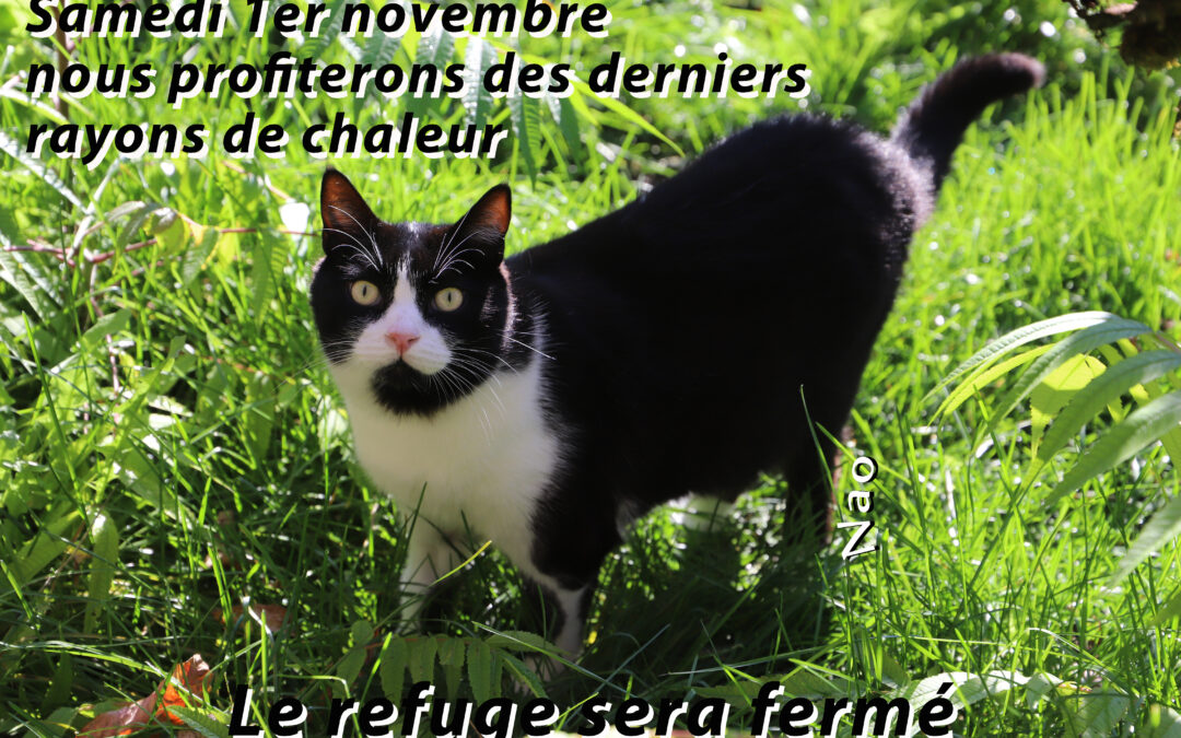 1er novembre